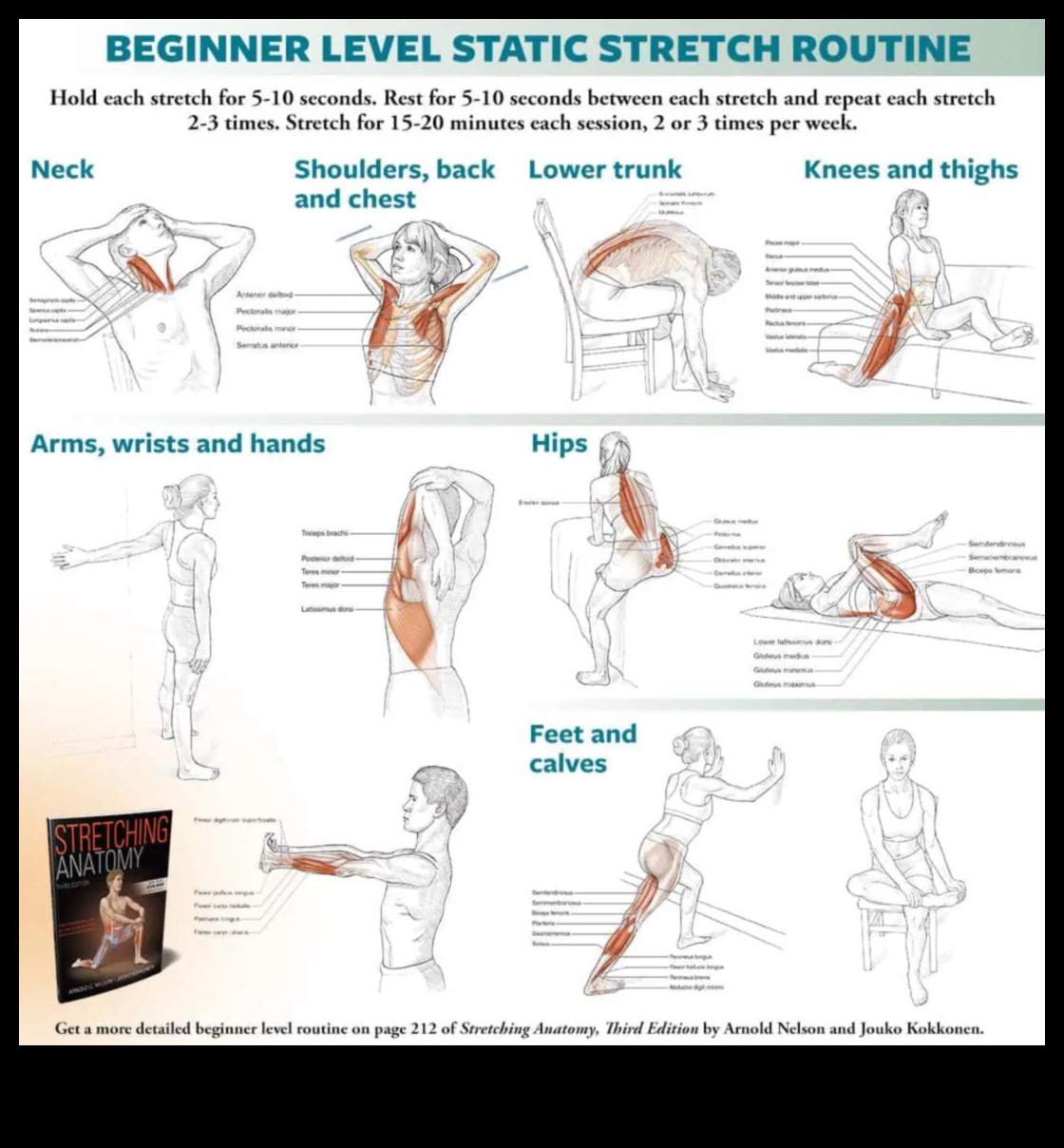 Майсторство в разтягането: Създайте вашата лична рутина за гъвкавост