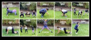 Лудории с животни Аеробика Причудливи инфантилен тренировъчни рутини за забавен