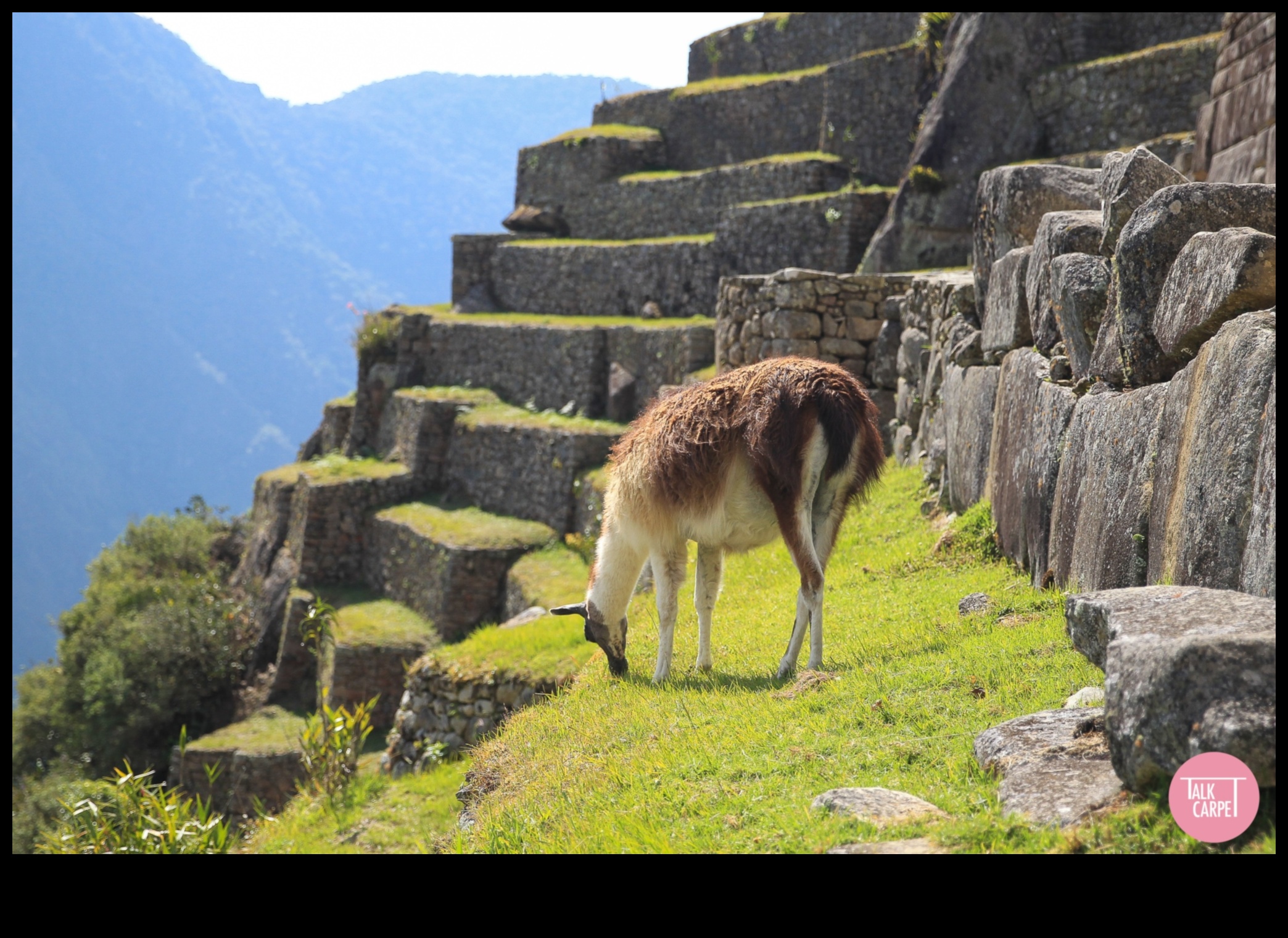 Wanderlust Windows: Надникнете в най-добрите забележителности в света