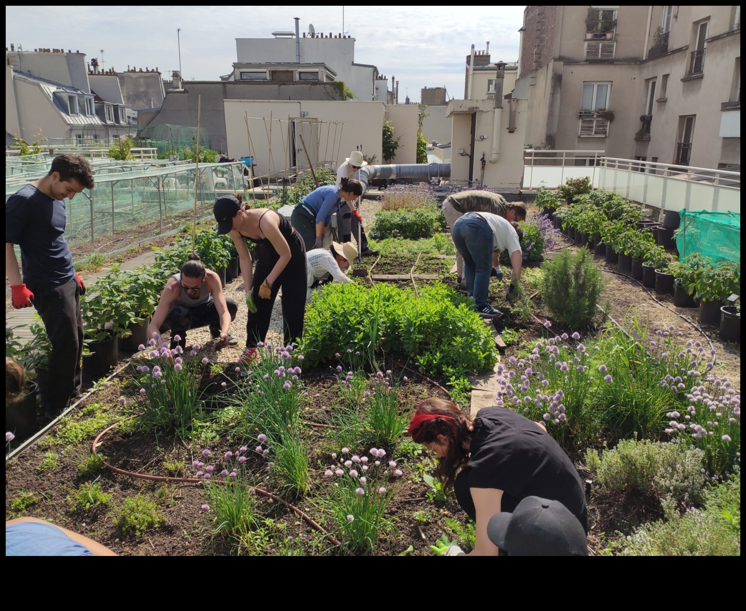 Градинарски хоризонти Дълбоко гмуркане в градинското образование 5 Градинарски хоризонти: Изследване на дълбочините на градинското образование