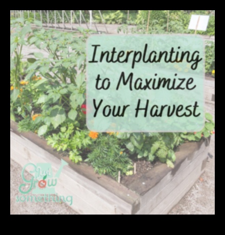 Градинарски хоризонти Дълбоко гмуркане в градинското образование 4 Градинарски хоризонти: Изследване на дълбочините на градинското образование