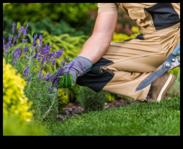 Бъдеща добър външен вид Култивиране в съответствие с вечна класа в поддръжката в съответствие с градината