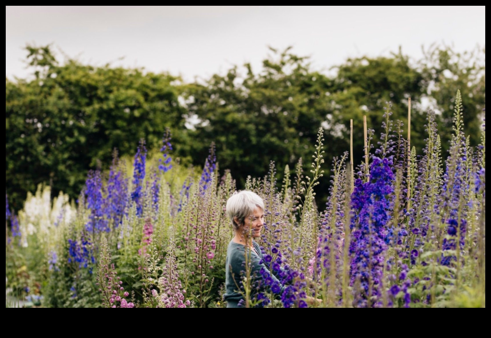 Floral Flourish: Науката зад ефективната грижа за градината