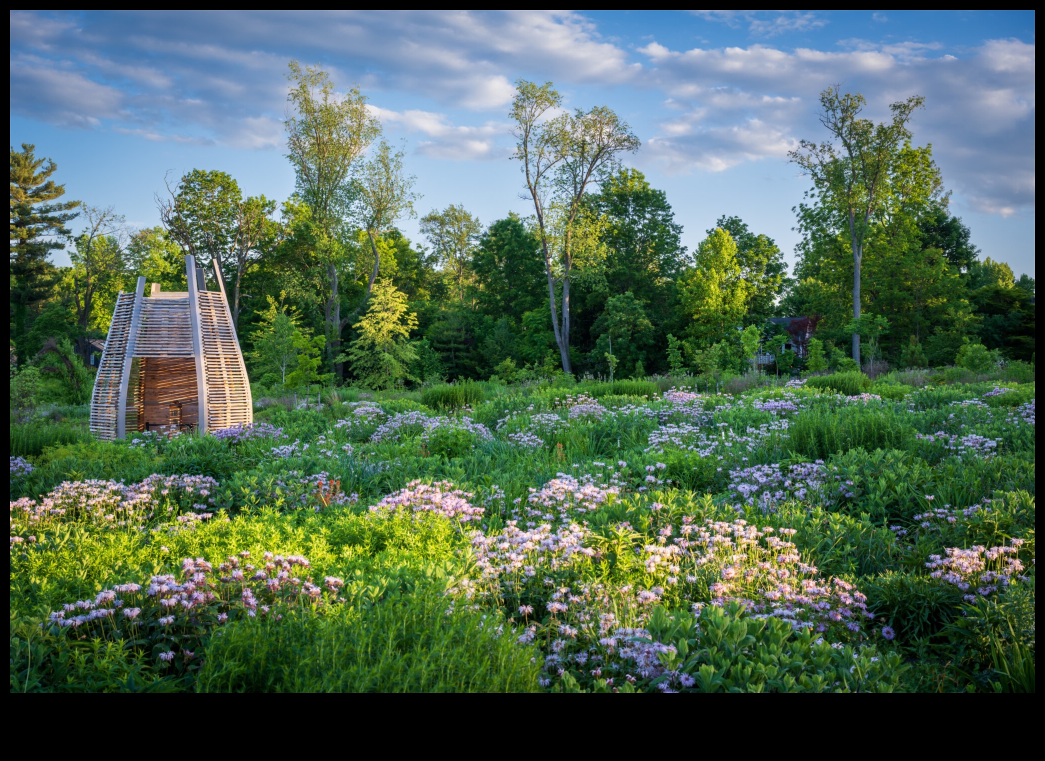 Floral Flourish: Науката зад ефективната грижа за градината