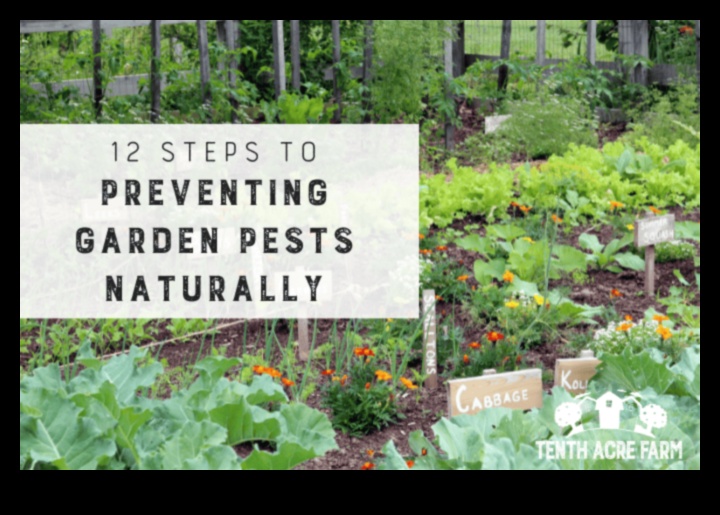 Blossom Battle: Победа срещу неприятните градински вредители