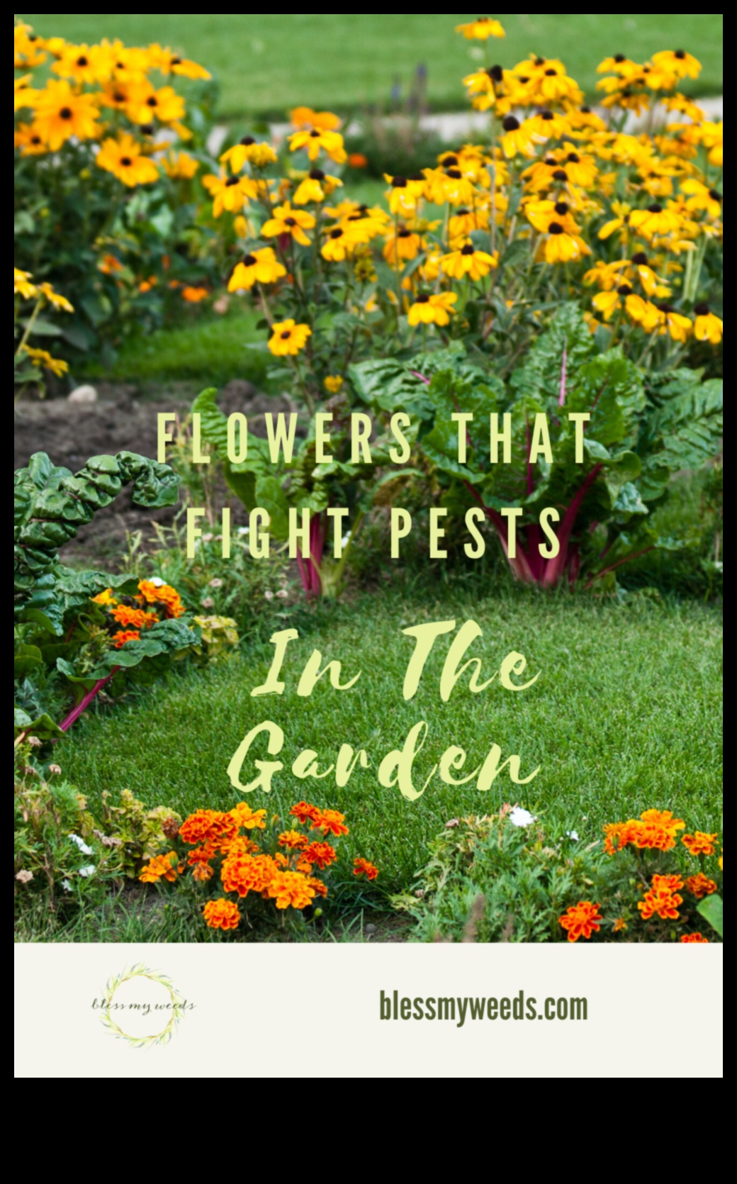 Blossom Battle: Победа срещу неприятните градински вредители