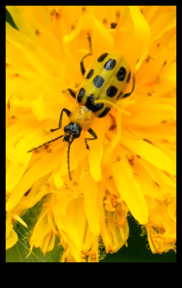 Blossom Battle: Победа срещу неприятните градински вредители