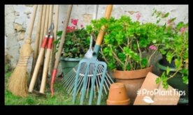 Cultivate Charm 5 градински инструмента, които искам да може би имате за радостно изживяване в градината