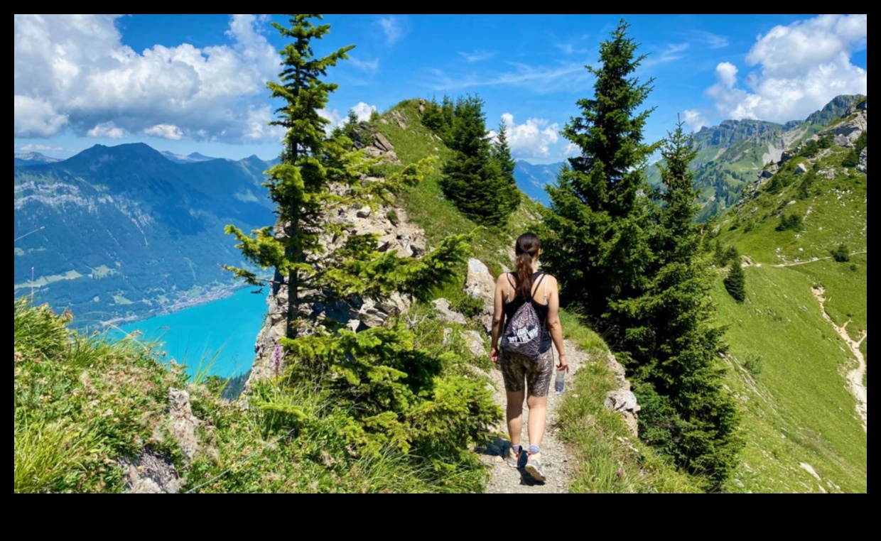 Панорамни занимания: Най-добрият маршрут за разглеждане на забележителности