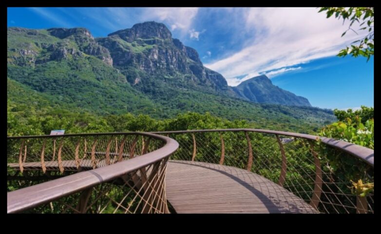 Canopy Chronicles Пътувам до работа колкото върховете в съответствие с дърветата в съответствие с блаженството на открито