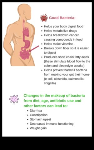 Как вашият чревен микробиом трябва ще ви позволи ще можем ли отслабнете
