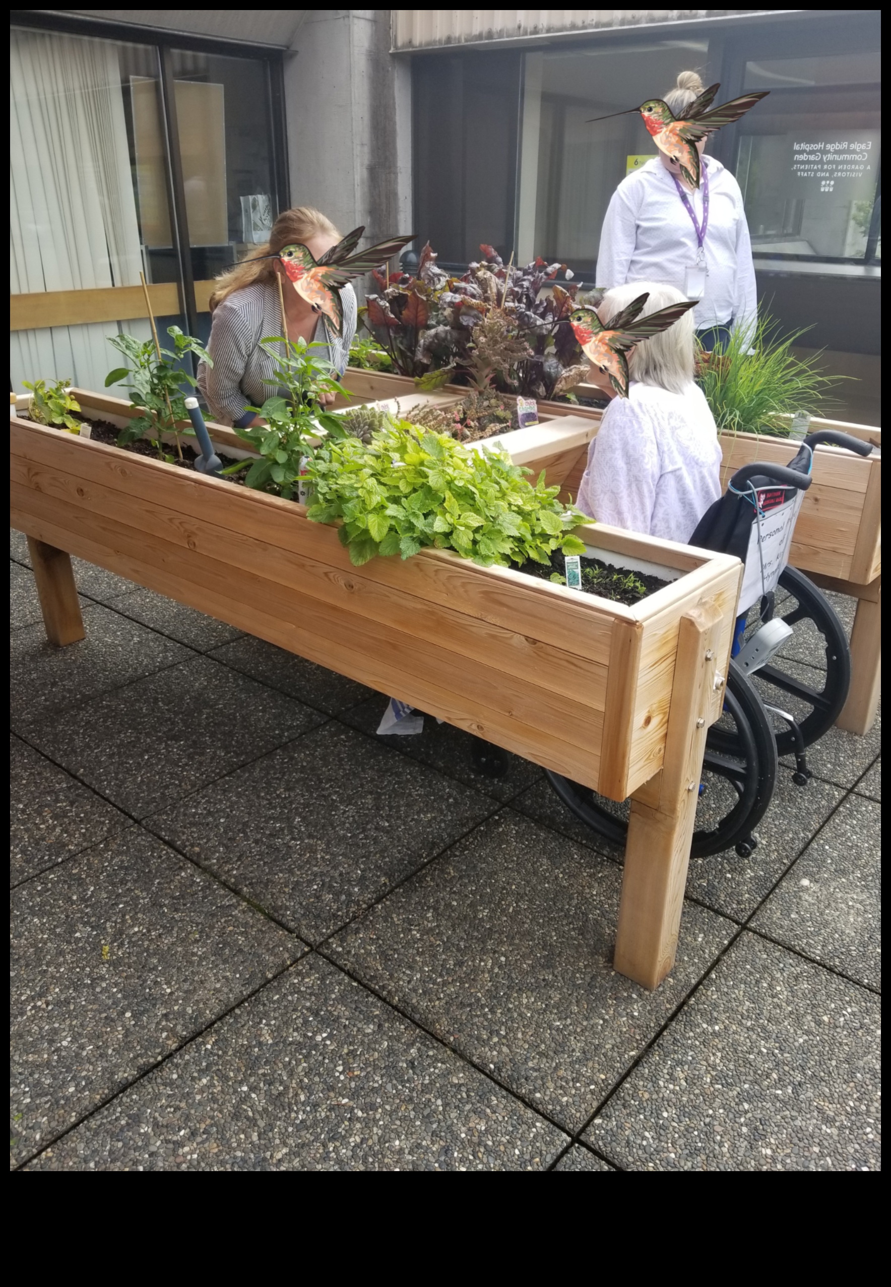 Градинска хармония: Балансиране на красотата и ефикасността в грижите