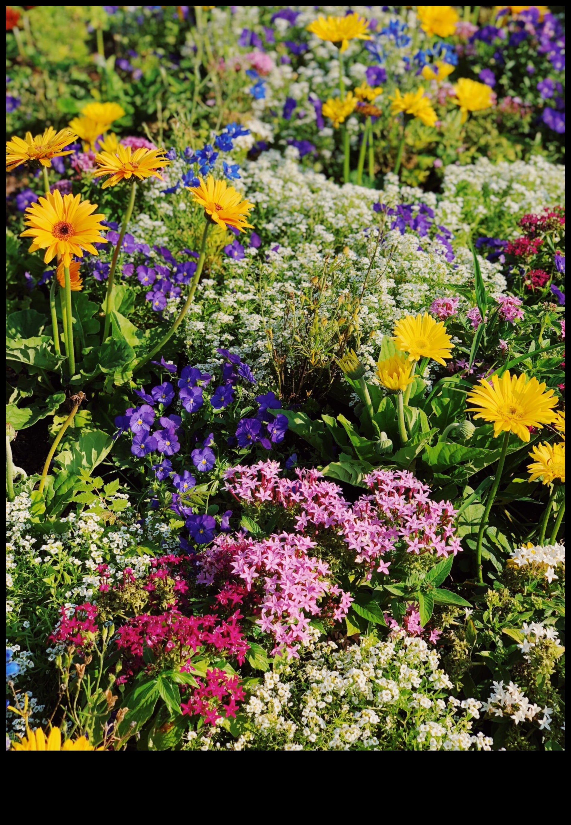 Градинска хармония: Балансиране на красотата и ефикасността в грижите