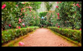 Градинска единство Достигане в съответствие с добър външен вид и ефективност в грижата за градината