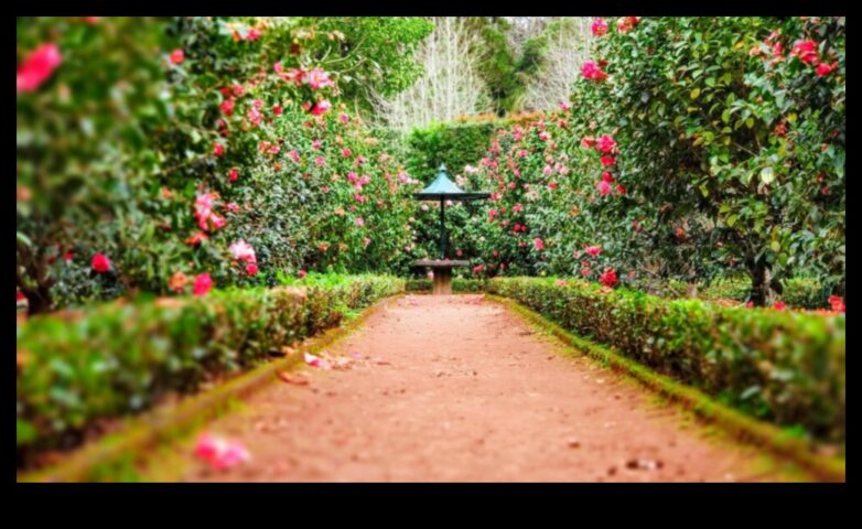 Градинска единство Достигане в съответствие с добър външен вид и ефективност в грижата за градината