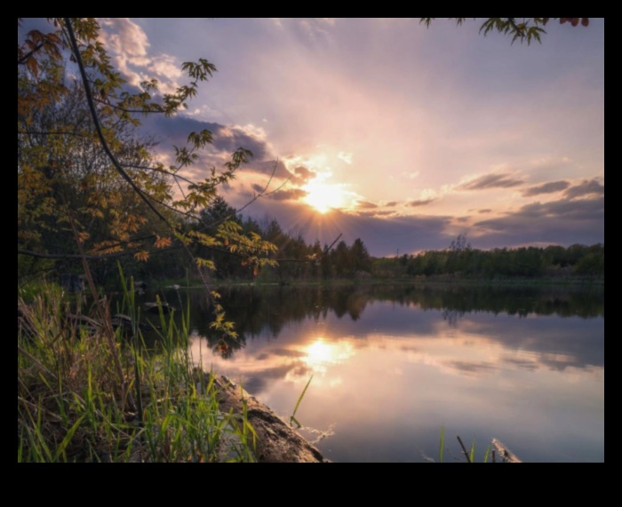 Green Oasis Разбийте сърцето си сред красотата на природата 3 Зелен оазис: Тренировки на открито, заобиколени от красотата на природата