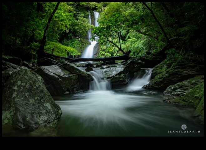 Green Oasis Накарайте центърът си ще можем ли затупти някои от прекрасното нещо за характерът