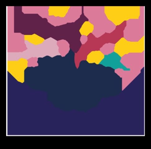 Разцъфтяващи умове Как таксата за обучение в градината може да съдейства според младежите ще можем ли процъфтяват