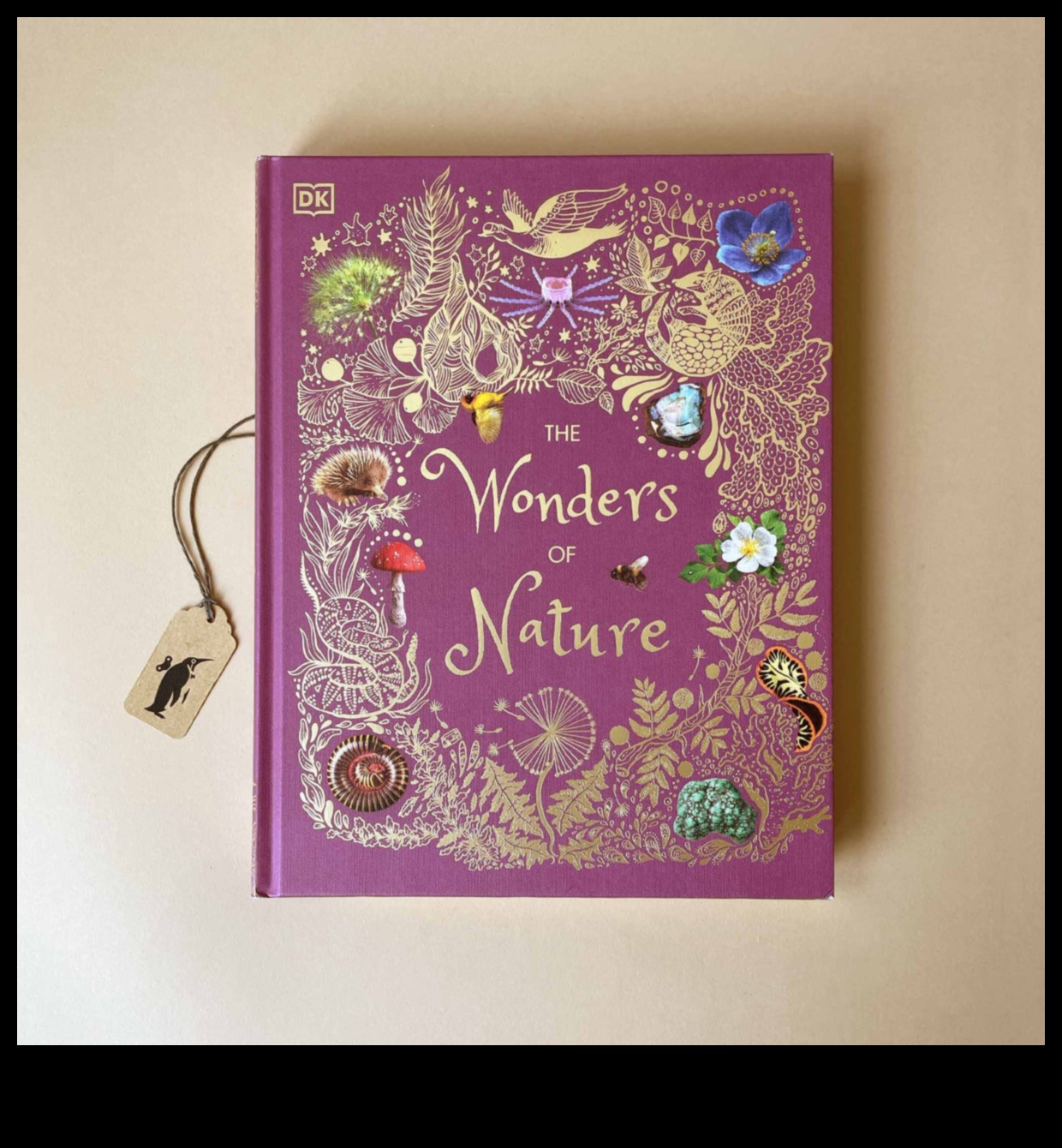Woodland Wonders Пътеводител към тайните на природата 5 Горски чудеса: Навигация в тайните на природата