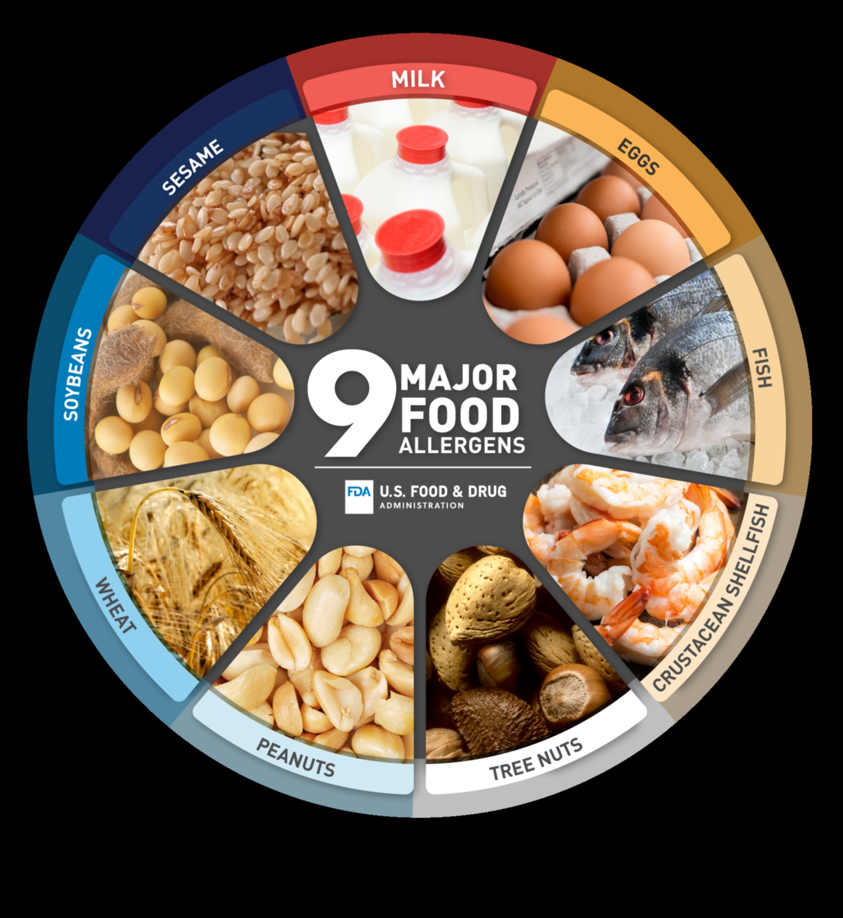 Диетични алергии Какво трябва да знаете 4 Ролята на краткосрочните диети в управлението на диетичните алергии