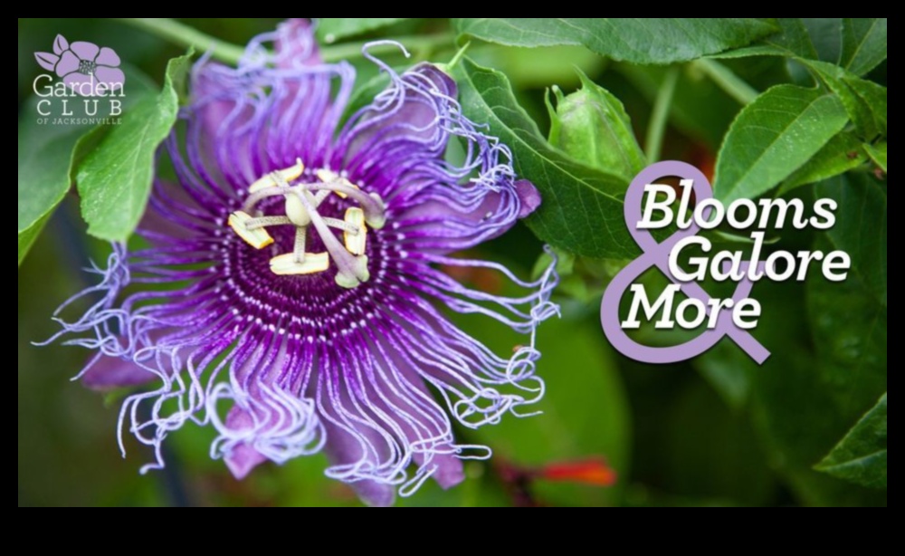 Изобилие от градински семинари: процъфтяващо учебно изживяване