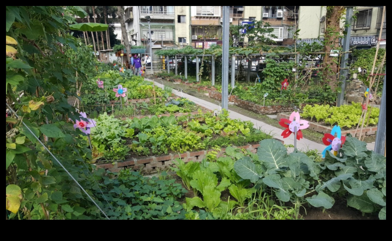 Цъфти сред сградите: Тайните на градското градинарство