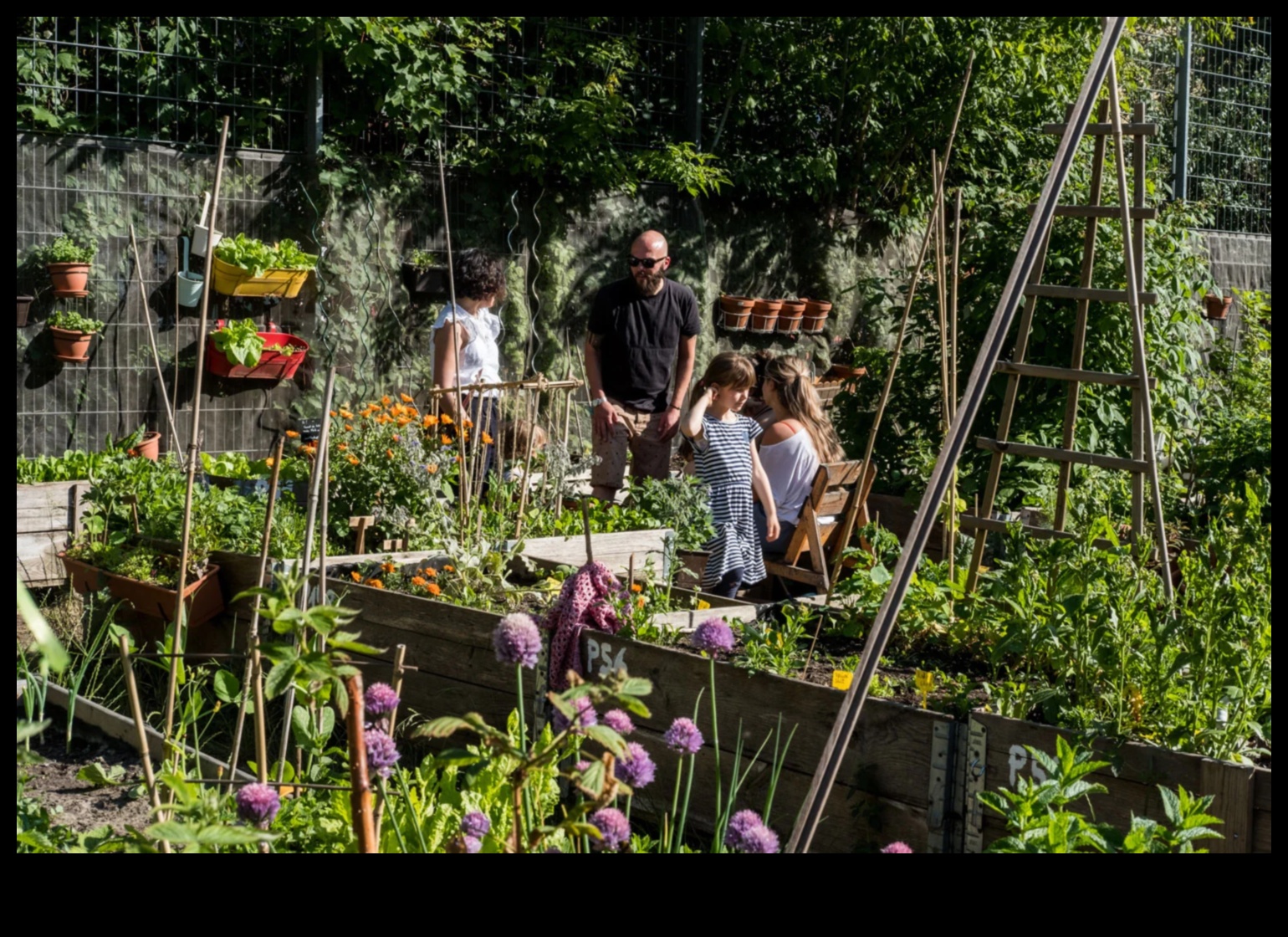Цъфти сред сградите: Тайните на градското градинарство