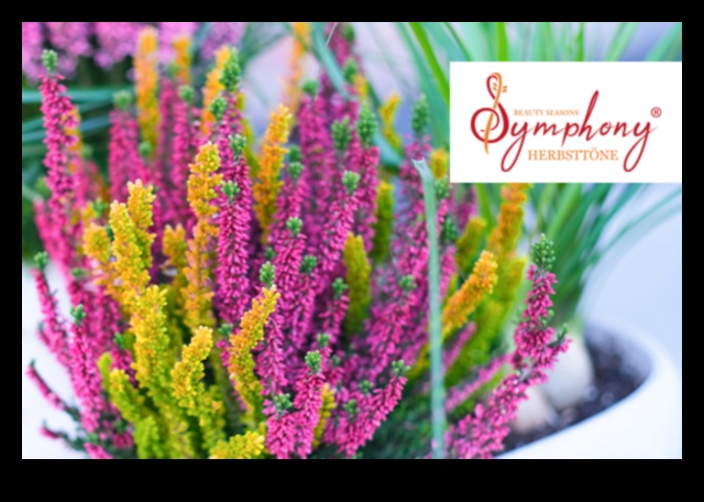 Сезонна симфония: Постоянно променящата се красота на градинарството