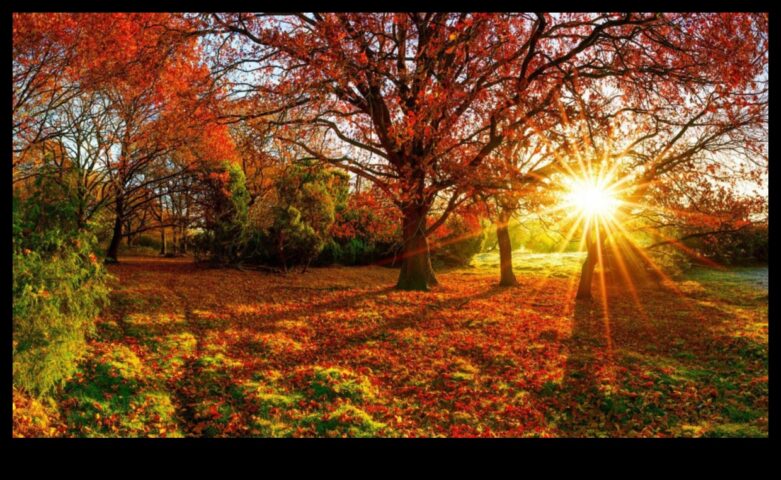 Непрестанно променящата се фантастично нещо за сезонното симфонично градинарство