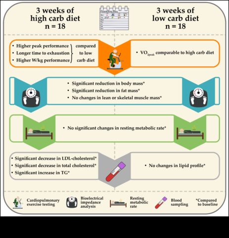 Диети с ниско съдържателен материал в съответствие с въглехидрати и картина в съответствие с тялото Балансирана гледна точка