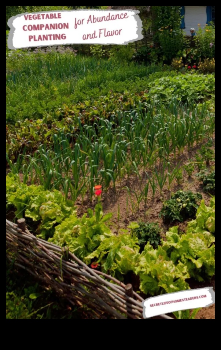 Симбиотичен цъфтеж Как да отгледаме повече зеленчуци с придружаващо засаждане 5 Симбиотичен цъфтеж: Отключване на тайните на придружаващото засаждане