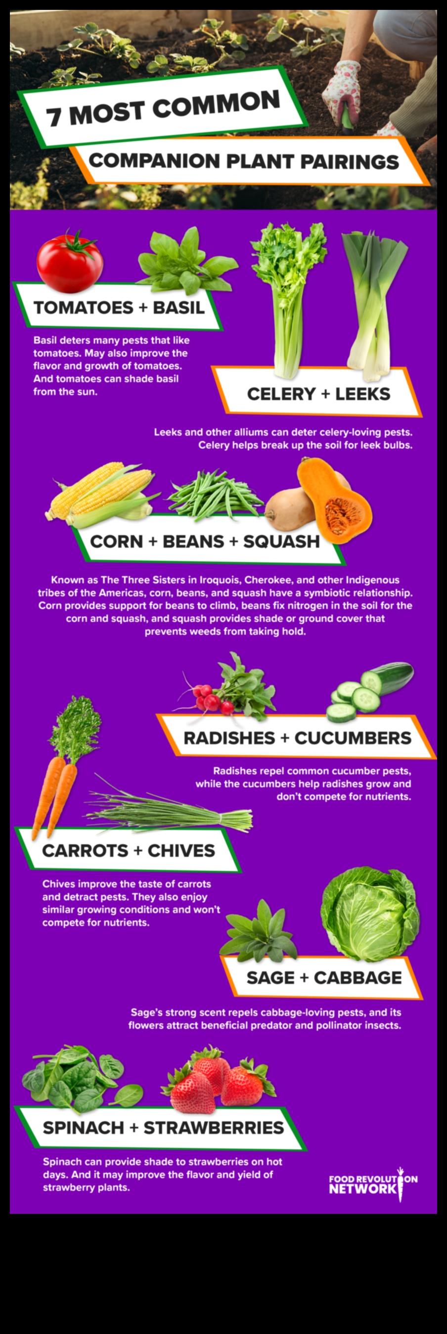 Симбиотичен цъфтеж Как да отгледаме повече зеленчуци с придружаващо засаждане 4 Симбиотичен цъфтеж: Отключване на тайните на придружаващото засаждане