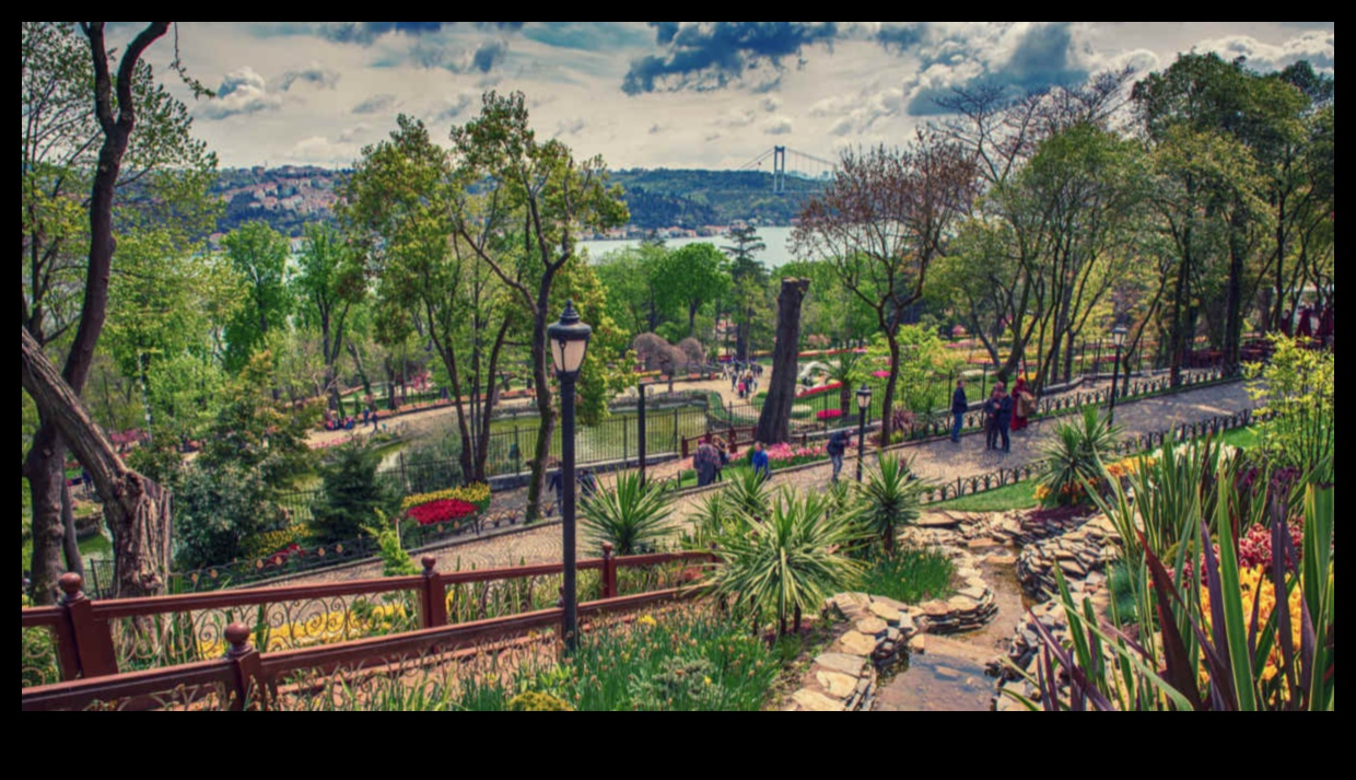 Metro Marvels: Вашите местни забележителности Marvelous Ръководство