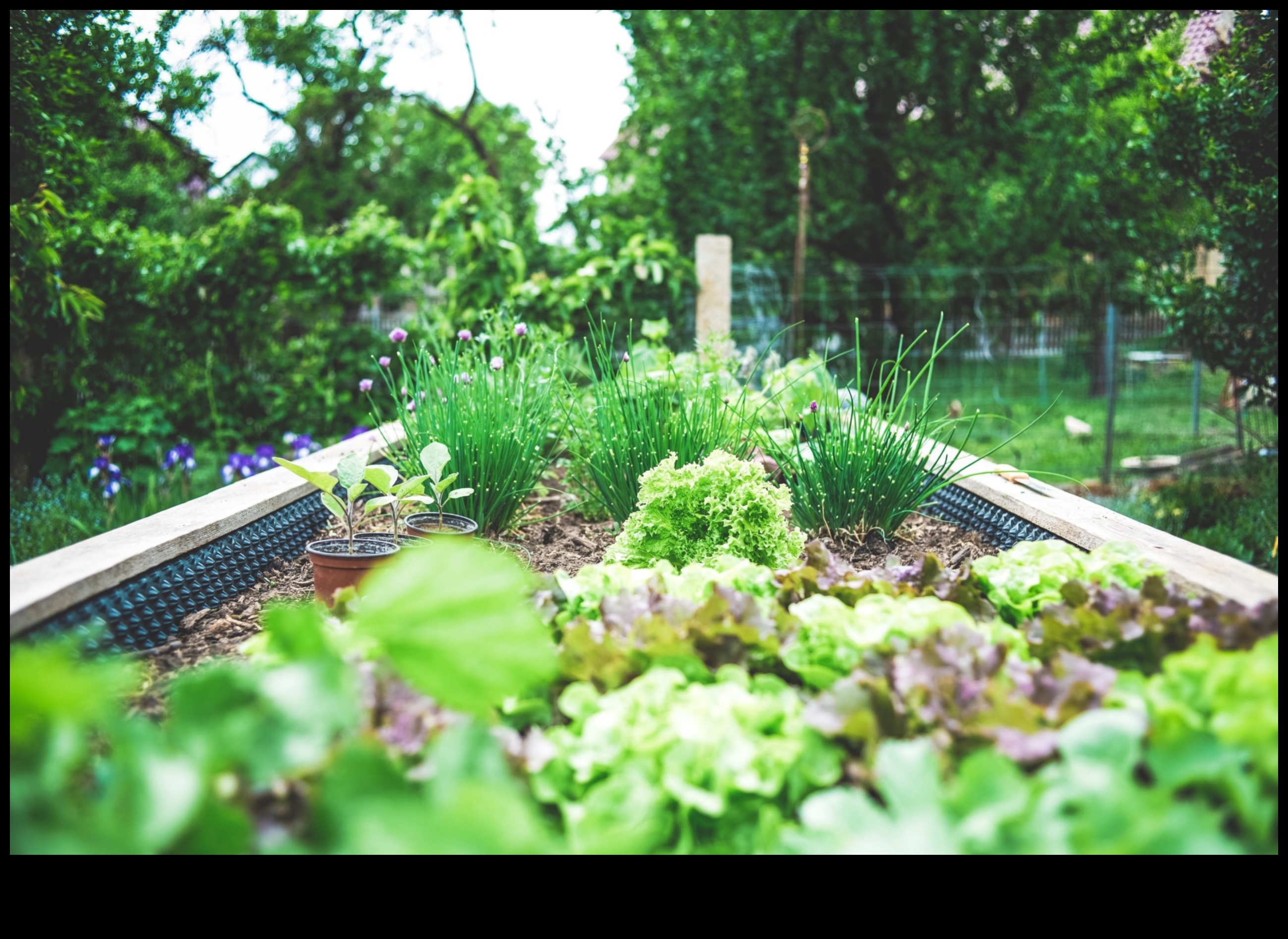 City Bloomers Container Gardening Delights for Urban Living 3 Разцвет на града: процъфтяване с изкушения от градинарство в контейнери