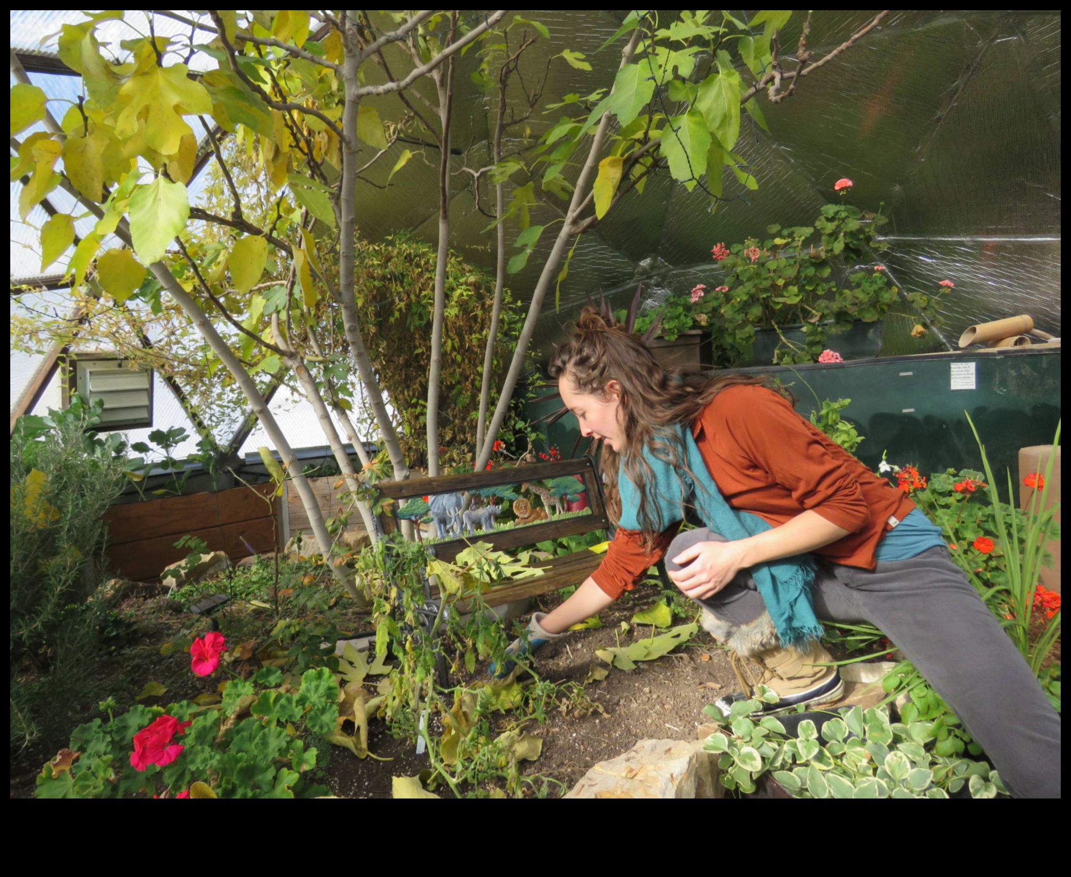 Вдъхнете живот на своето пространство: Оранжерийното изживяване