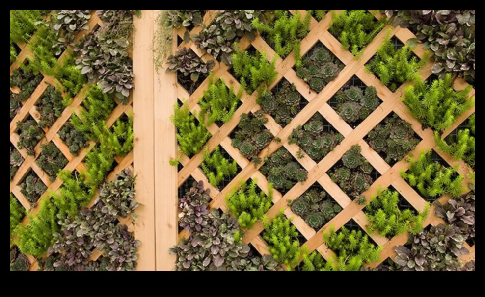 Вдъхнете живот на своето пространство: Оранжерийното изживяване