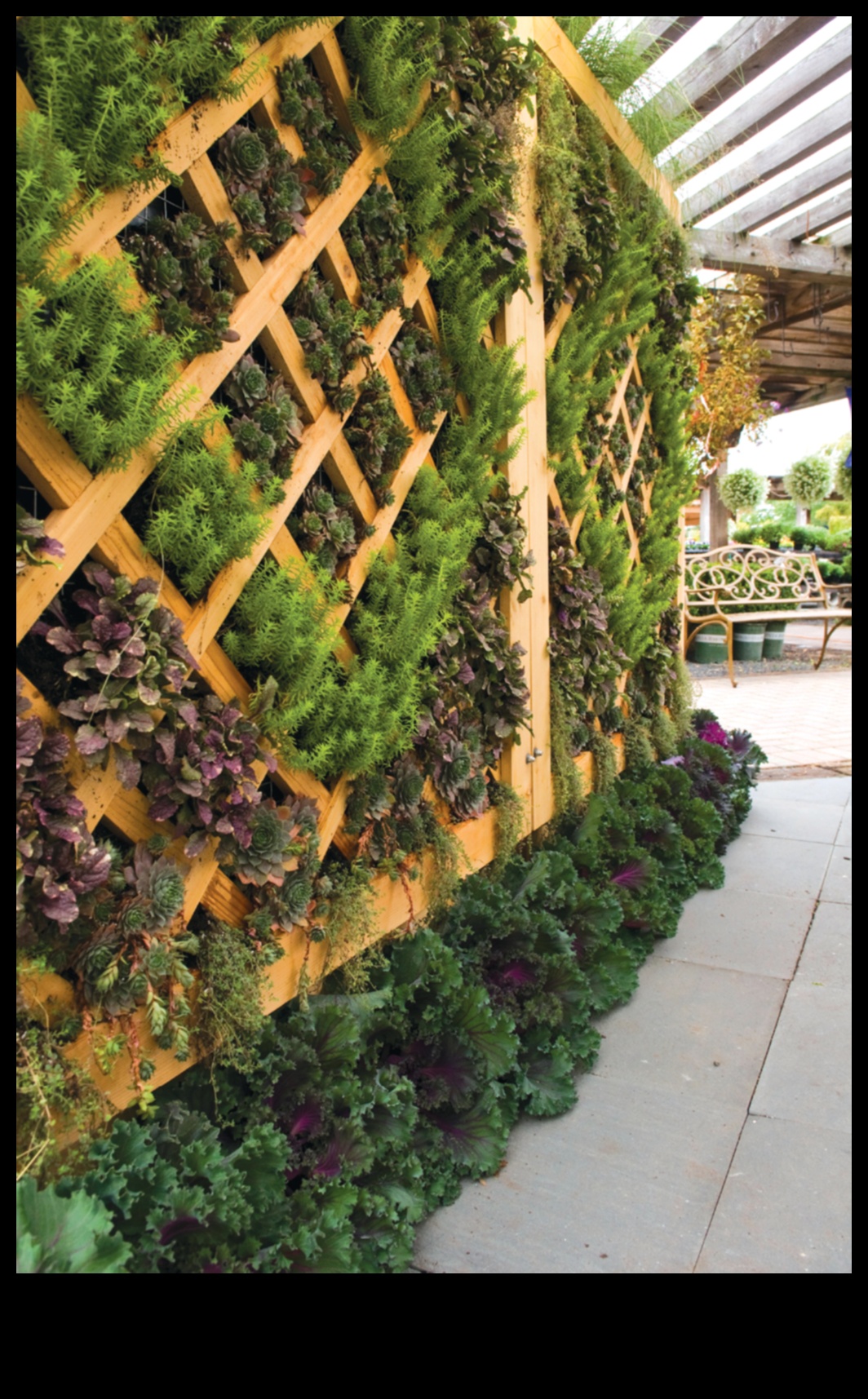 Вдъхнете живот на своето пространство: Оранжерийното изживяване