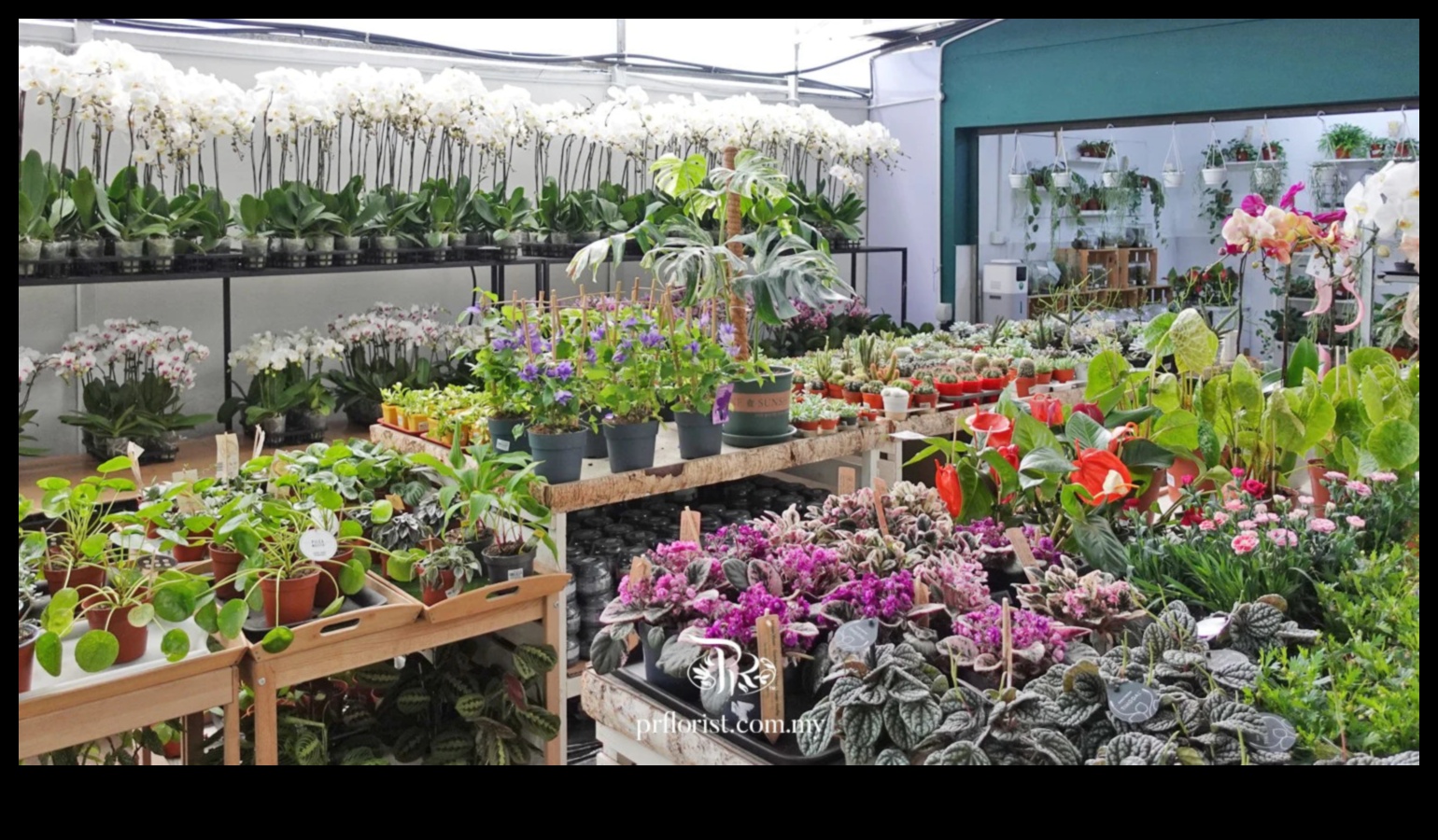 Начинаещи новатори: Разцвет в света на градинските работилници