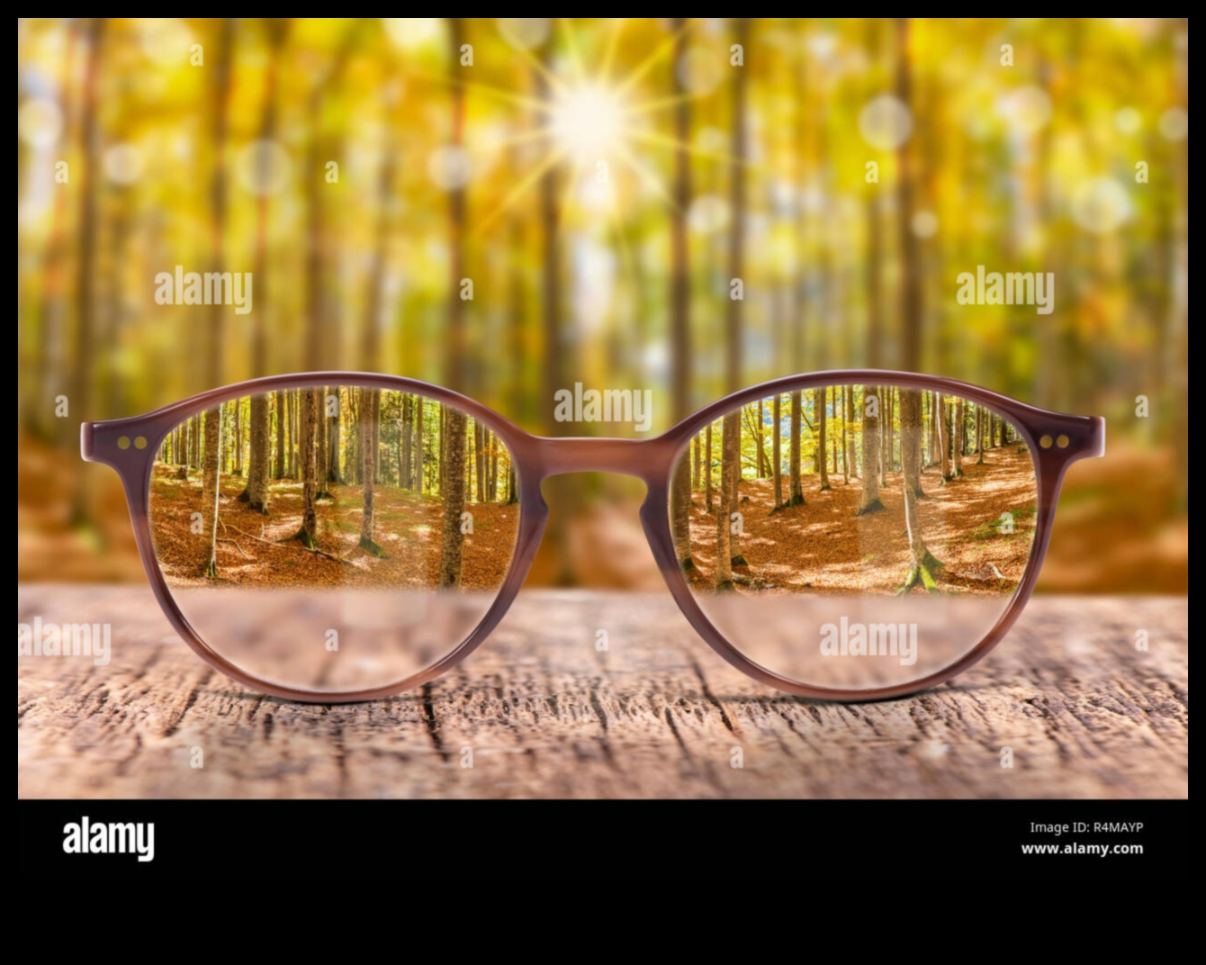 Проектиране на перспективи: уеб изкуство през различни лещи