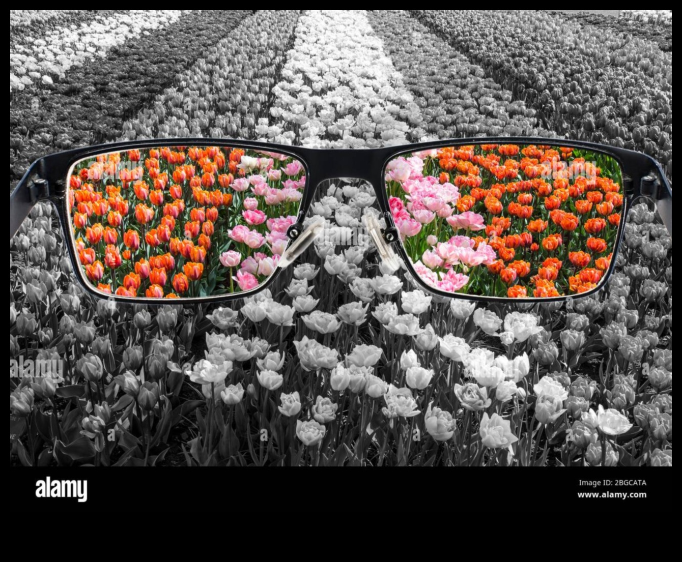 Проектиране на перспективи: уеб изкуство през различни лещи