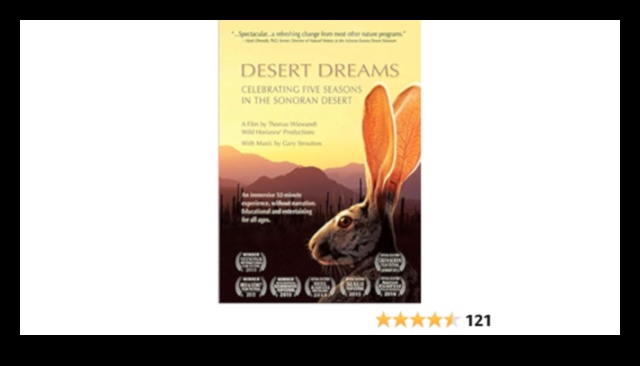 Desert Dreaming Излезте от фитнеса и се потете в пустинята Сонора 2 Desert Dreaming: Загрейте тренировката си с предизвикателства на открито