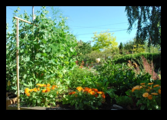 Ботанически връзки: Разкриване на тайните на експертното придружаващо засаждане