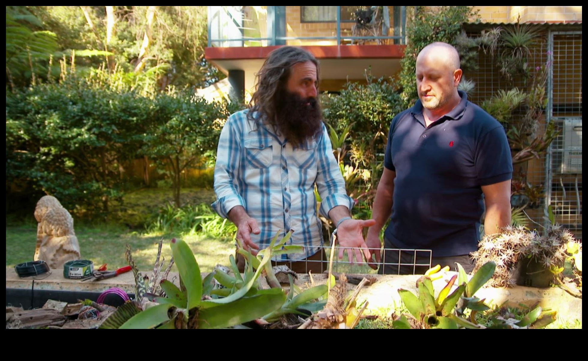 Градински скъпоценни камъни: Отключване на тайните на градинарството