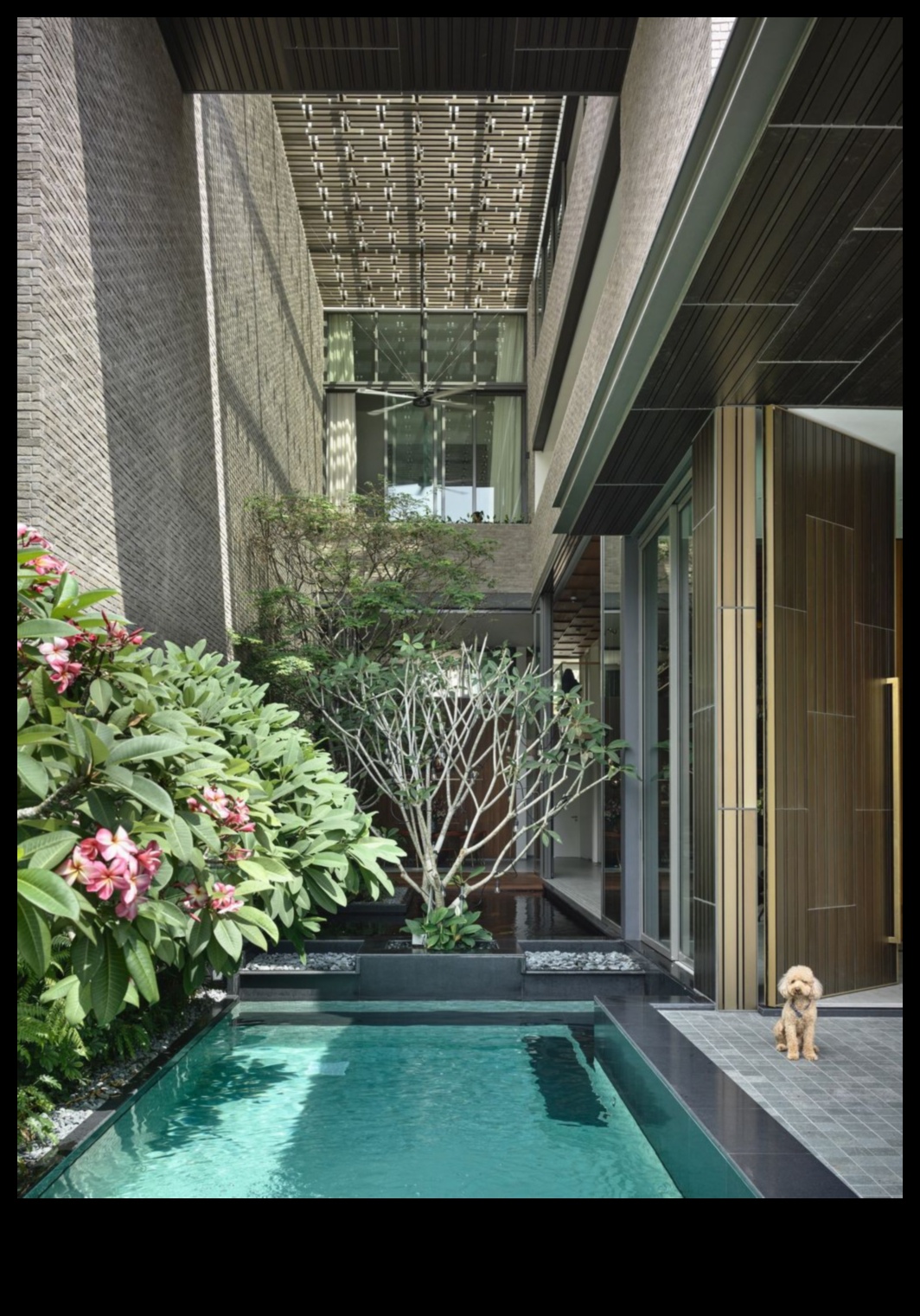 Издигнат оазис: Вертикално градинарство Спокойствие