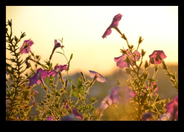 Артистичност в разцвет: Изработка на вашия шедьовър на открито