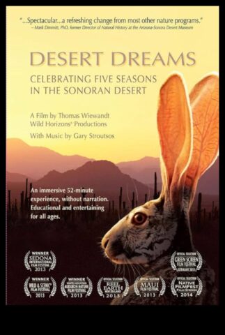 Desert Dreaming Станете от фитнеса и се потете в пустинята Сонора