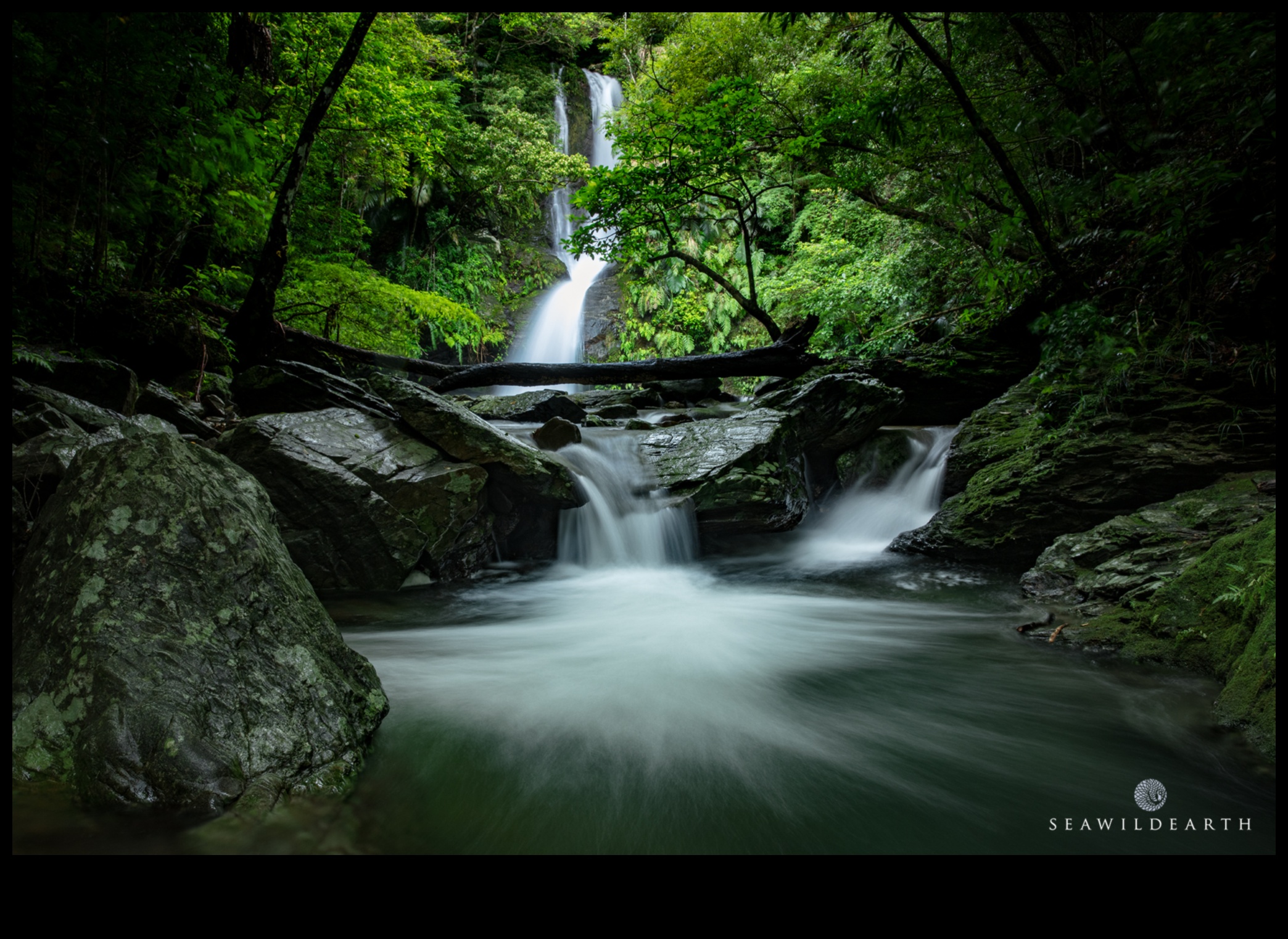 Green Oasis Накарайте сърцето си да затупти сред красотата на природата 1 Зелен оазис: Тренировки на открито, заобиколени от красотата на природата