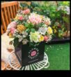 Harmony in Bloom Надстройте градинската си екипировка за по-успешен сезон