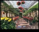Indoor Wonderland Greenhouse Delights Представени са обиколка в съответствие с тропически вегетация и растения