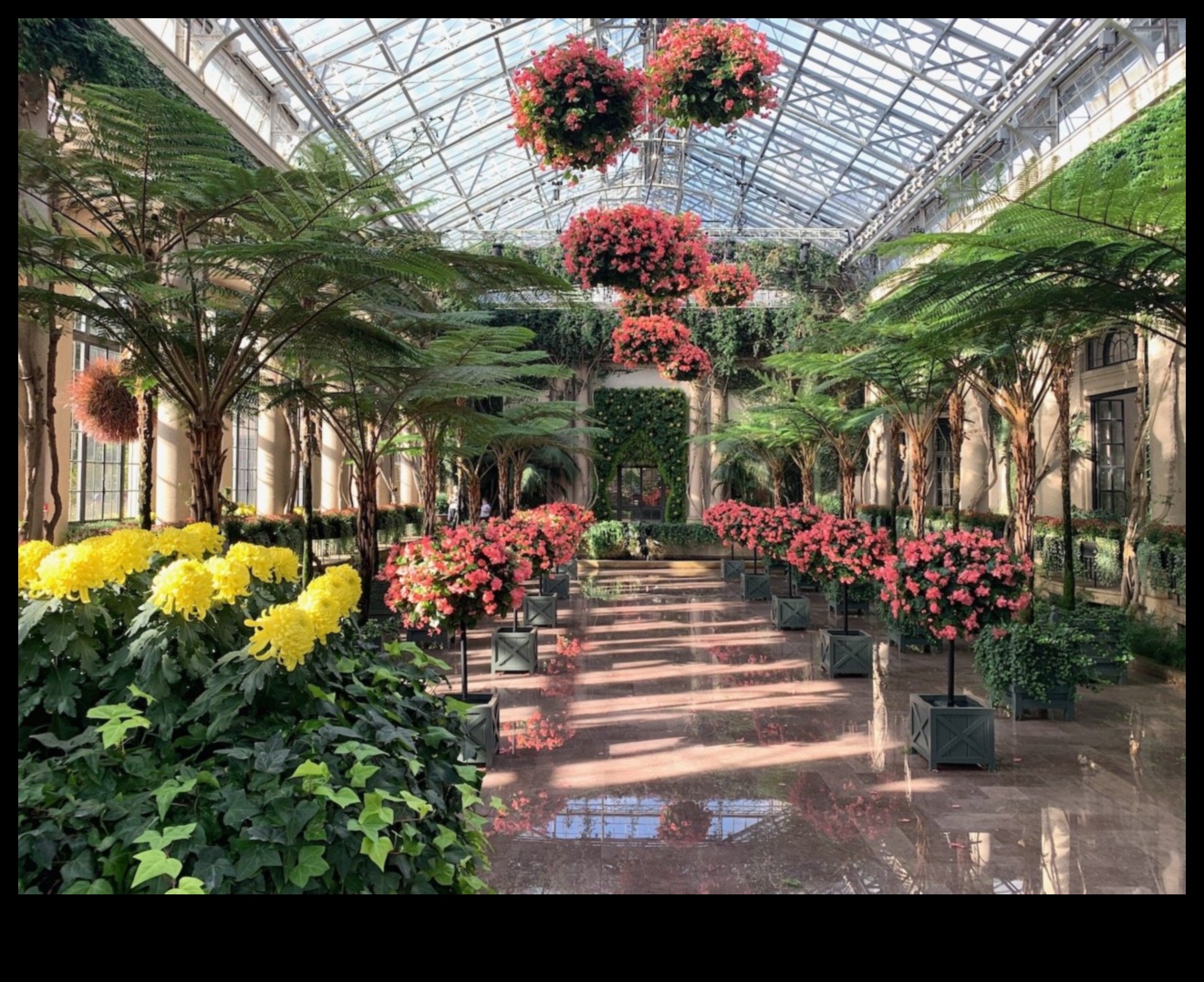 Indoor Wonderland Greenhouse Delights Представени са обиколка на тропически растения и цветя 3 Страната на чудесата на закрито: Разкрити са оранжерийните удоволствия